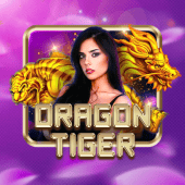 Dragon Tiger live casino on jili333 com app
